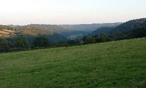 wp54fe09b3_0f.jpg